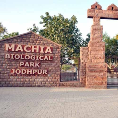 Machia Biological Park, Jodhpur
